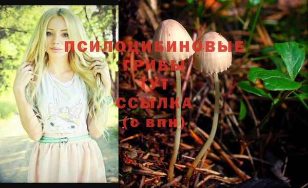 каннабис Алексин