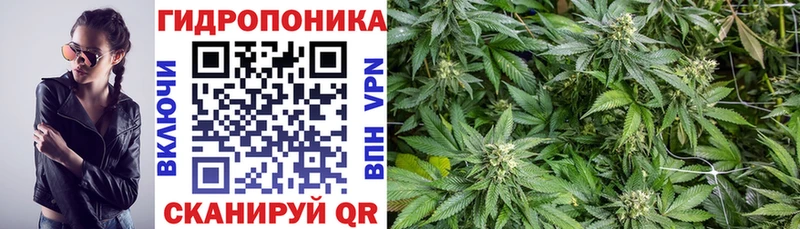 kraken маркетплейс  Киров  дарк нет формула  Марихуана тримм 